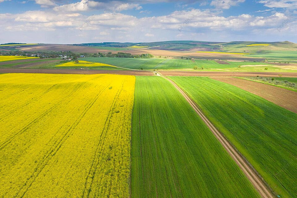 Open farmland landscape